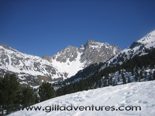 French Alps