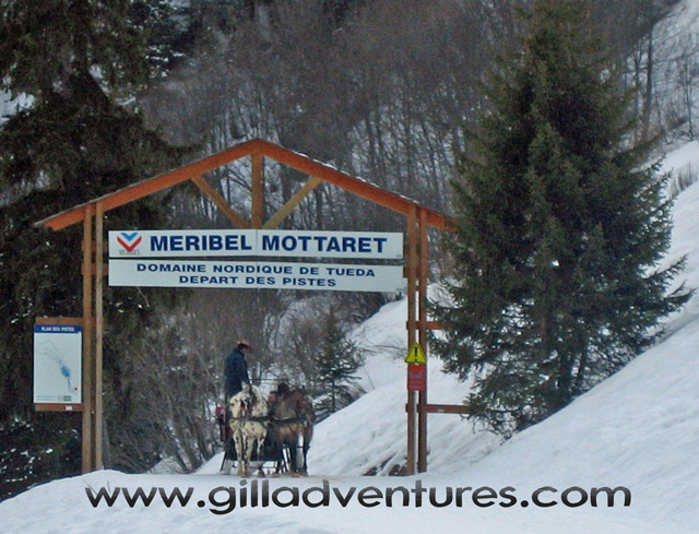 horse drawn sleigh