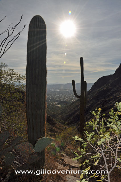 Finger Rock trail Tucson
