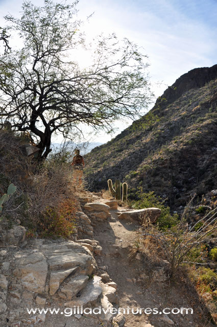 Finger Rock Trail Tucson