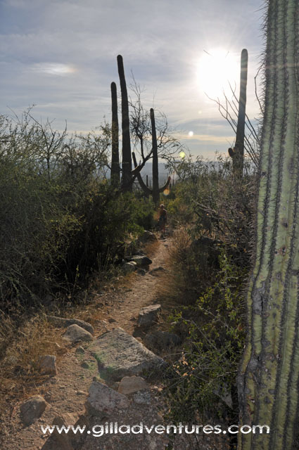 tucson finger rock trail