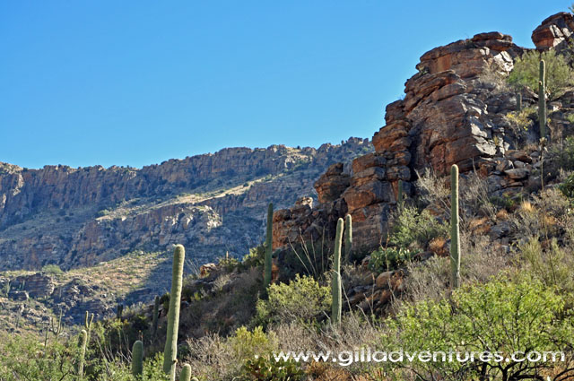 sabino canyo tucson