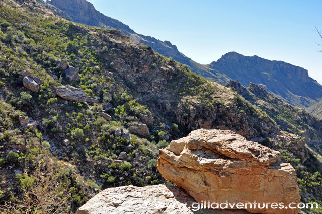 sabino canyon tucson