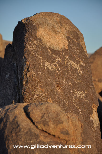 signal rocks petroglyphs