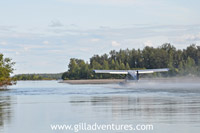 trail ridge air taxi on takeoff on lake creek, alaska