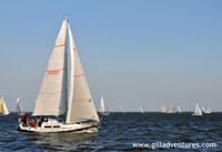 sail boat races in Annapolis