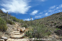 Douglas Spring Trail, Saguaro National Park East