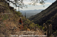 finger rock trail, looking toward Tucson