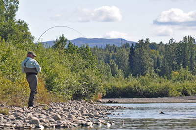 Fy Fishing the Talachulinta River Fly fishing the Talachulitna River for Silver Salmon