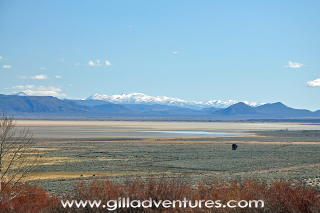 Alvord Desert after a winter storm