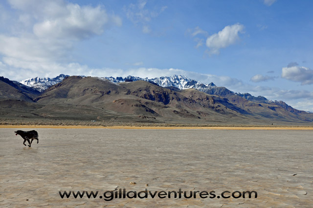 Alvord Deset view of Steens Mountain