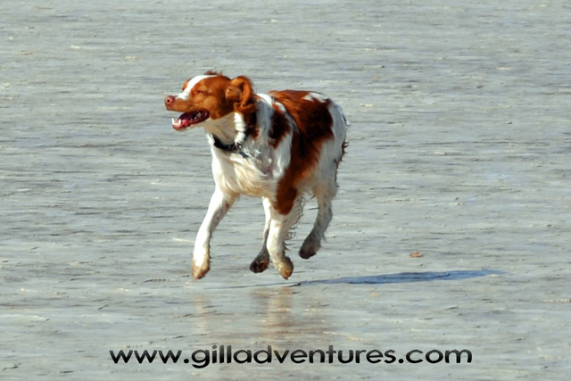 brittany caught mid air while running across the Alvord Desert