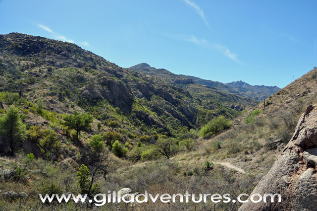 Sabino Basin, Arizona