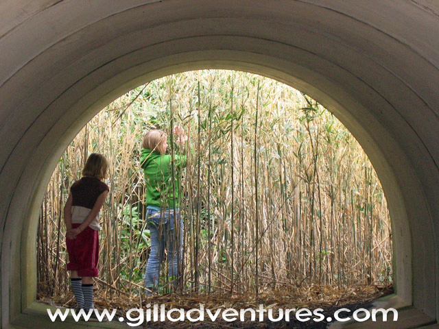 Storm shelter on the island
