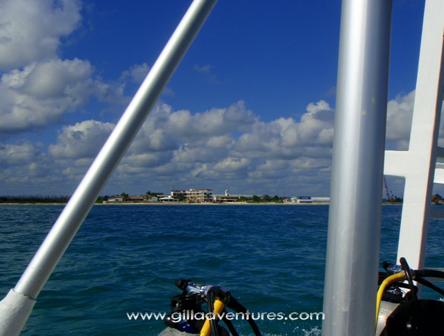 palma real from dive boat