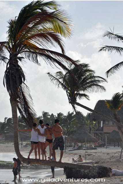 Posing for a photo on a palm tree