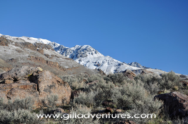 Steens Mountain from Fields-Denio Road