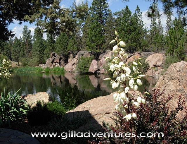 Rock Springs Guest Ranch pond