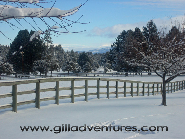 Front pasture in winter at Rock Springs Guest Ranch