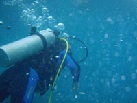 scuba diver