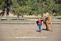 child leading palomino horse